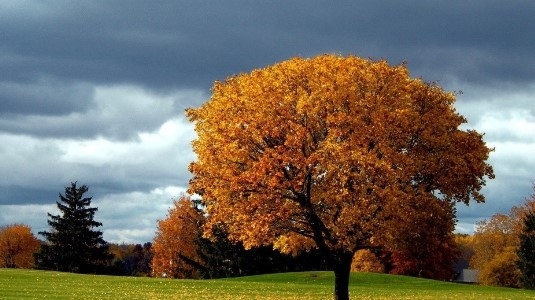 Днес променлива облачност с максимални температури между 7° и 12°