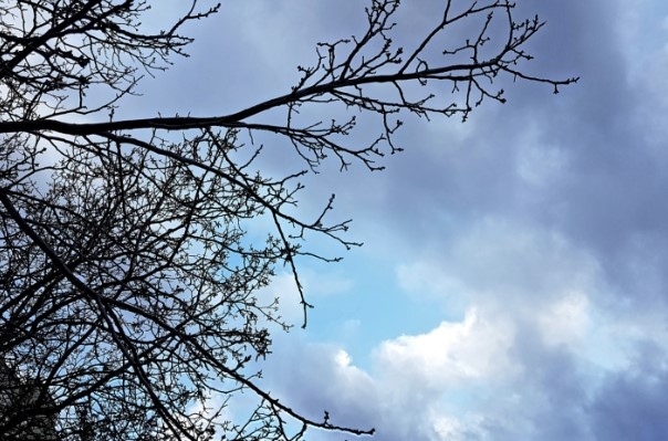 Днес облачно с мъгли. Максималните температури ще са между 1° и 11°