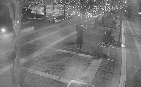 Камери заснеха как младежи унищожават коледната украса в Благоевград