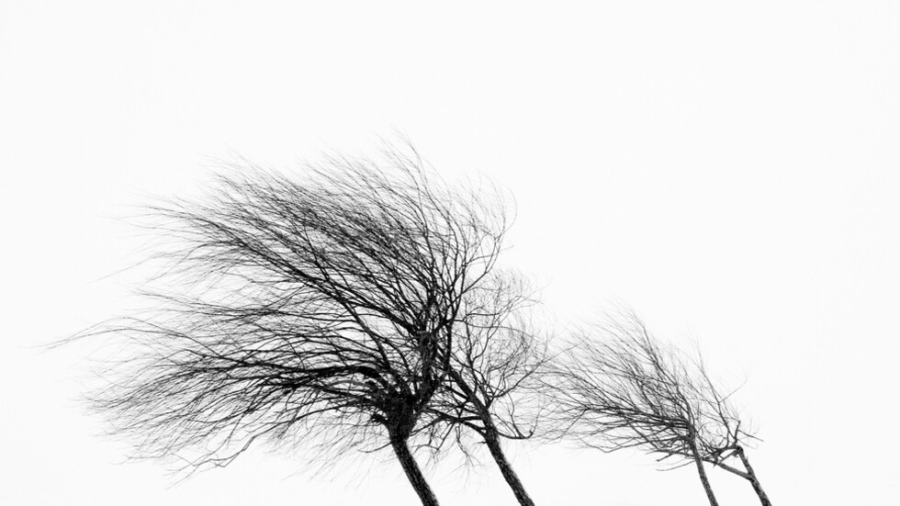 Времето през уикенда: Високи температури и жълт код за вятър