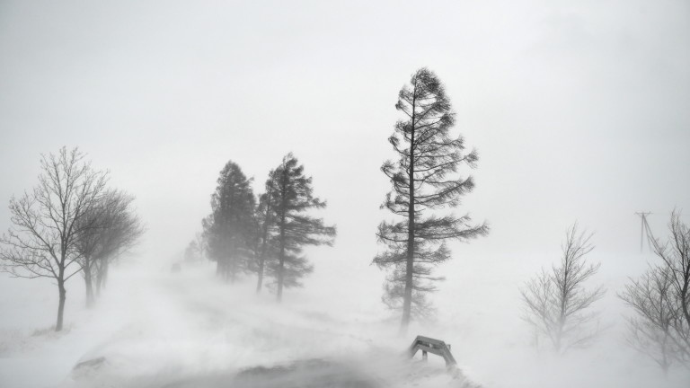 Над 5000 отменени полета в САЩ заради силни зимни бури