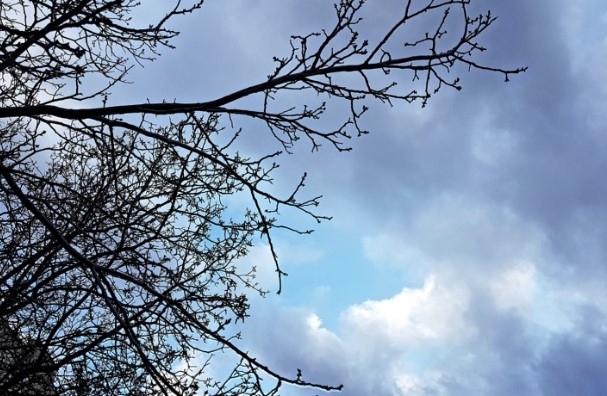 Днес облачно на места с валежи от дъжд. Максималните температури ще са между 7° и 12°