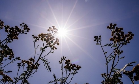 Днес слънчево и топло. Максималните температури ще са между 13° и 18°