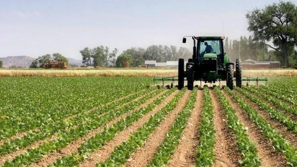 Приемът на проекти по подмярката за млади земеделски стопани се удължава до 31 януари