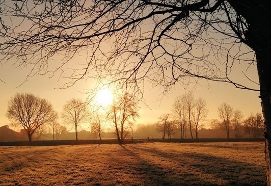 Днес слънчево с максимални температури между 7° и 12°