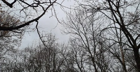 Днес облачно с максимални температури между 4° и 9°