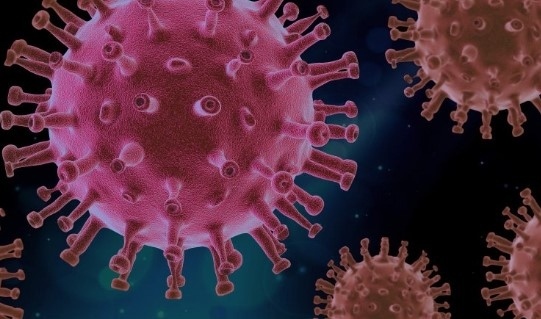 Подвариантът Кракен на Омикрон е регистриран и в Черна гора