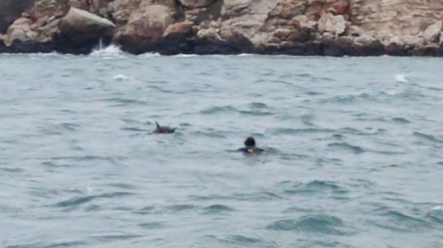 Мина е унищожена на 200 метра от брега срещу село Тюленово