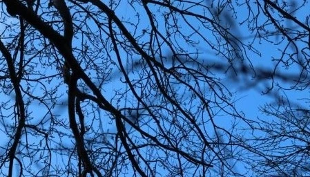 Днес променлива облачност с максимални температури между 4° и 9°