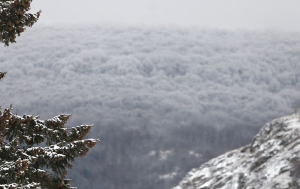 Днес облачно с превалявания от сняг. Максималните температури ще са между 3° и 8°