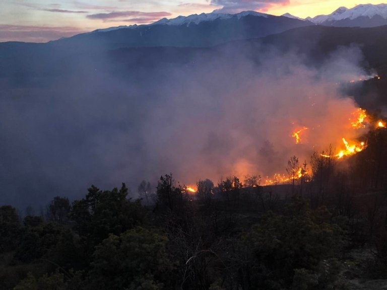Борова гора гори край Разлог