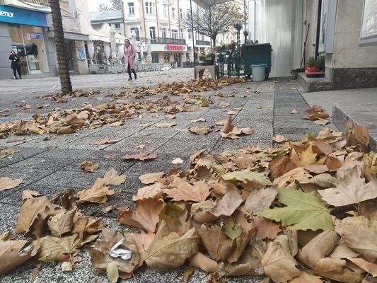 Времето днес: Минималните температури днес ще са от 3° до 8°, в София - около 4°