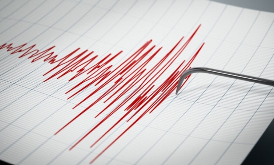 Слаб трус в България