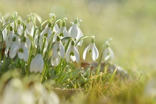 Днес сълнчево с максимални темпелатури между 15° и 20°