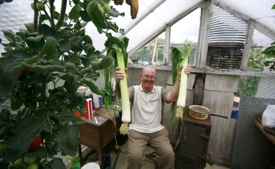 Недостиг на праз във Великобритания