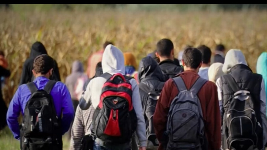 Адвокат: Малка част от мигрантите биват заловени  