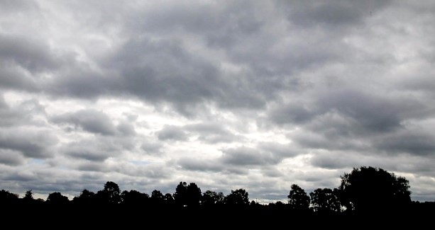 Днес облачно на места с валежи. Максималните температури ще са между 8° и 13°