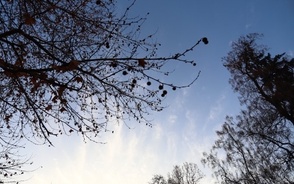 Днес променлива облачност с максимални температури между 9° и 14°