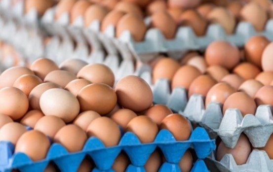 България е на четвърто място в ЕС по поскъпване на яйцата, сочат данните на Евростат