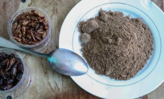 Опасен ли е хитинът в насекомите, които се влагат в храната?