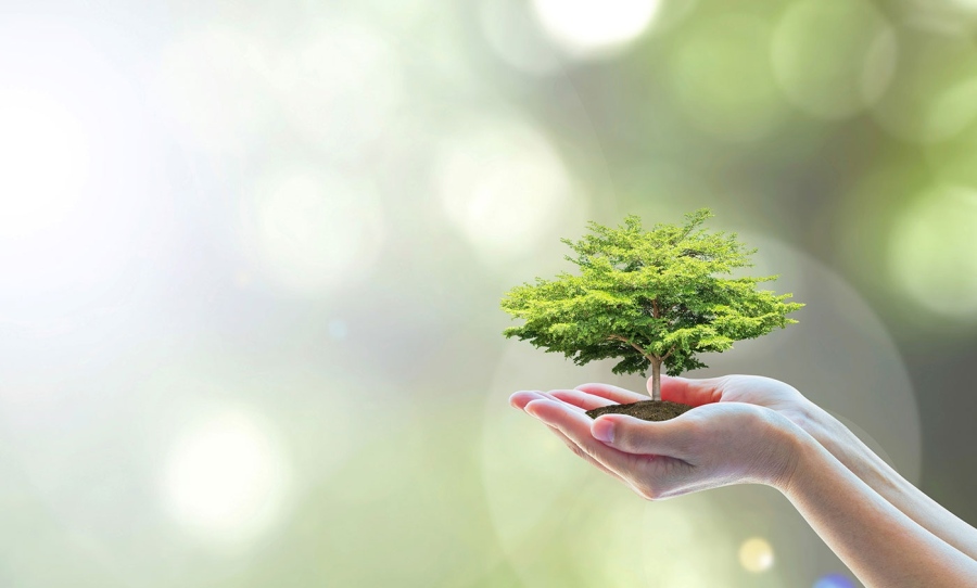 Само в 13 държави в света се диша чист въздух