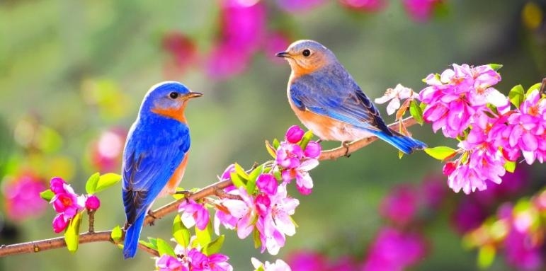 Сериозното затопляне идва от 31 март, дотогава времето ще е динамично  