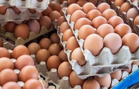 Птицевъди: Има опасност яйца от Украйна да се продават като български