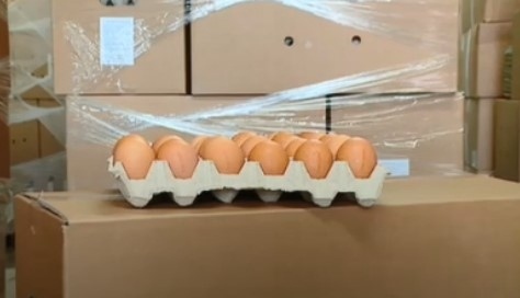 Резултатите от изследванията на БАБХ: Украинските яйца са безопасни