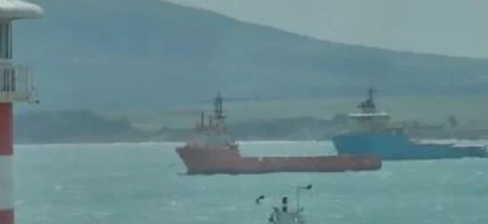 Три български кораба са задържани в румънски води за бракониерство на акули