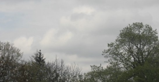 Днес облачно с максимални температури между 7°-16°