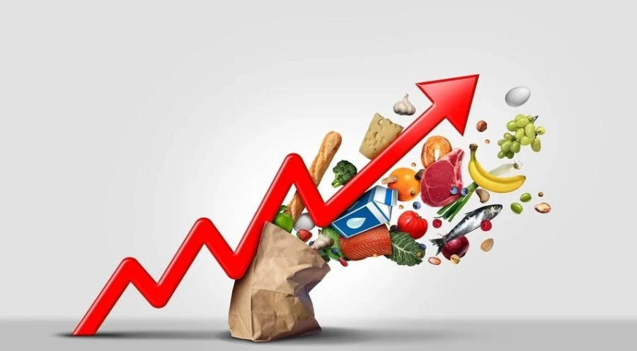 МФ прогнозира: Инфлация от 8,7% тази година, икономиката забавя растежа си  