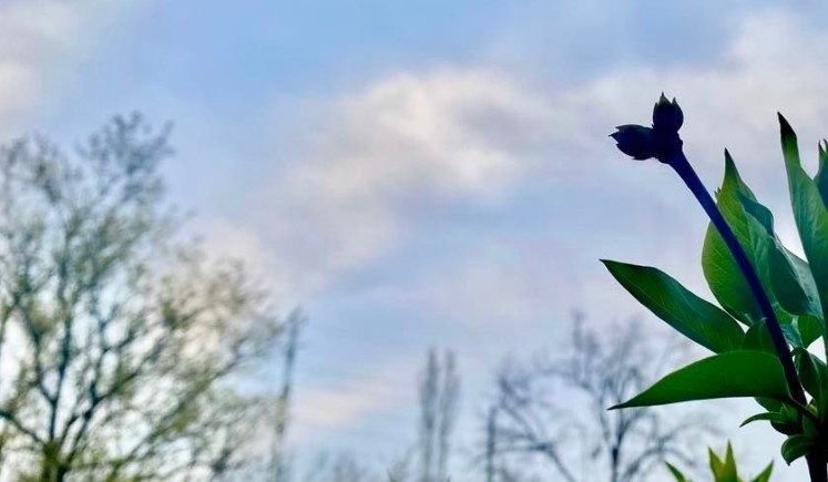 Днес ще преобладава облачно време. Максималните температури ще бъдат между 9° и 14°