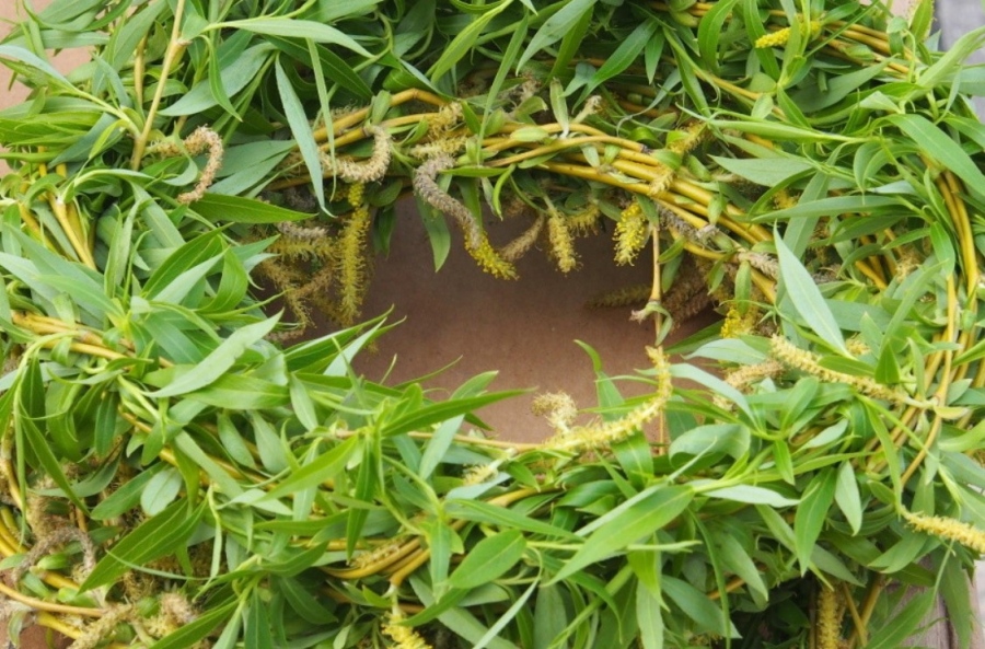 Цветница е ! В църквата се благославят върбови клонки