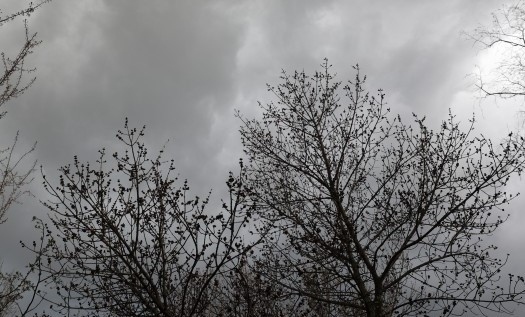 Днес ветровито с променлива облачност. Максималните температури ще са между 13° и 18°