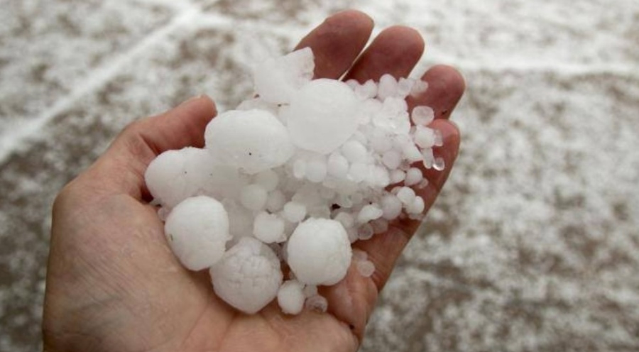 Безхаберието на Промяната и Радев съсипа земеделска продукция за милиони (СНИМКИ)