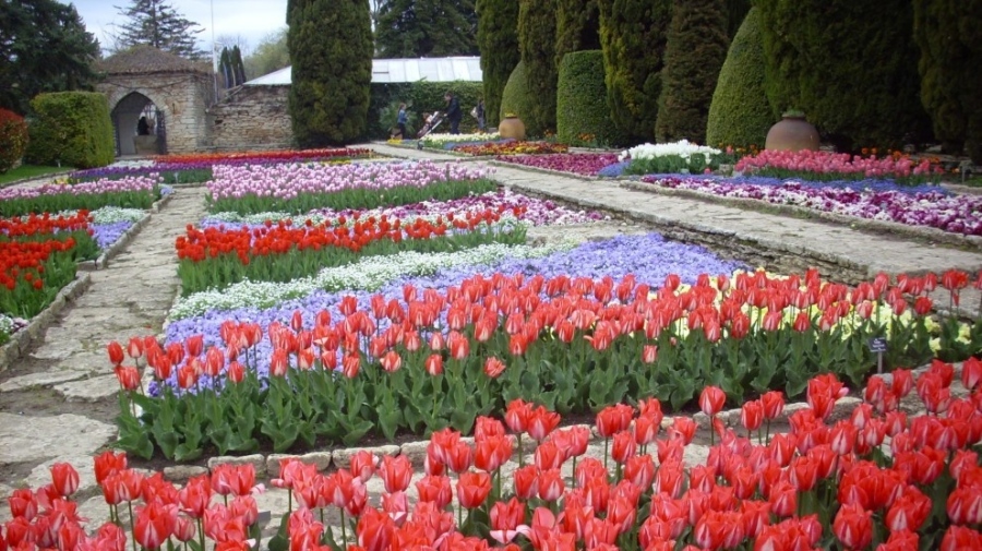 Парад на лалетата в Балчик