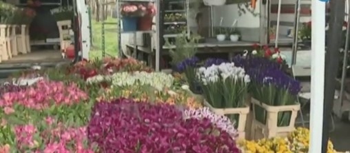 Преместват търговците на едро на цветя от столичния пазар Димитър Петков в Подуяне