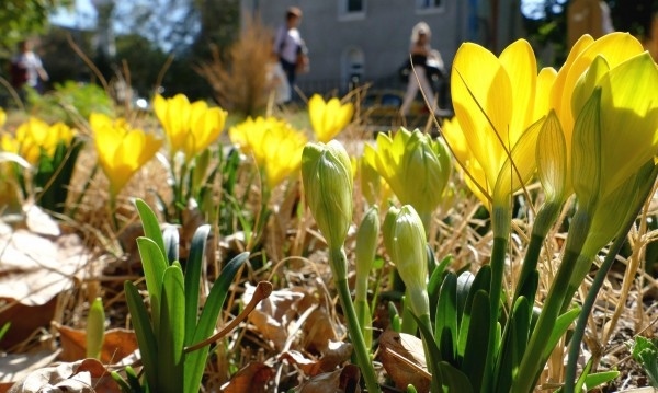Ще се радваме ли на слънчева събота