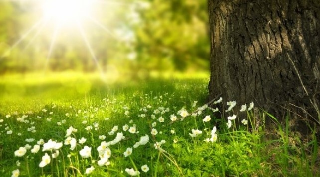 Днес педимно слънчево, след обяд на места с валежи. Максималните температури ще са между 18° и 23°