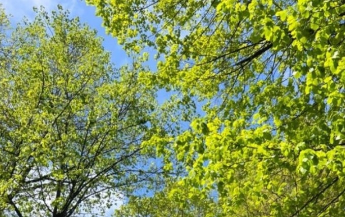 Днес слънчево на отделни места с кратки превалявания. Максималните температури ще са между 20° и 25°