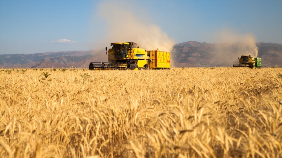 ЕП удължи безмитния внос на земеделски стоки от Украйна