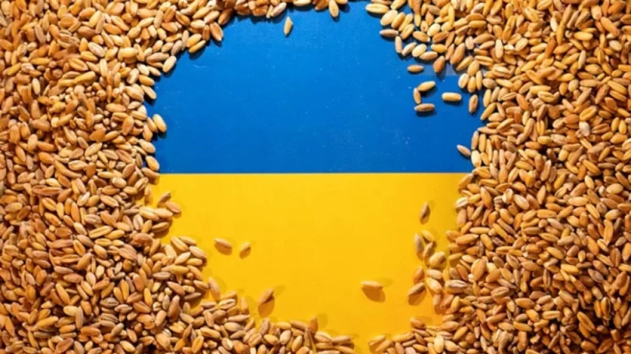 България, Унгария, Полша, Румъния и Словакия искат разширяване на ограниченията за украински селскостопански продукти