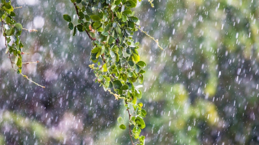 Валежите постепенно ще отслабват