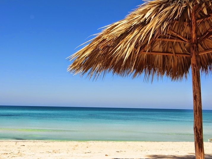 Варна забрани разходките на кучета по плажа