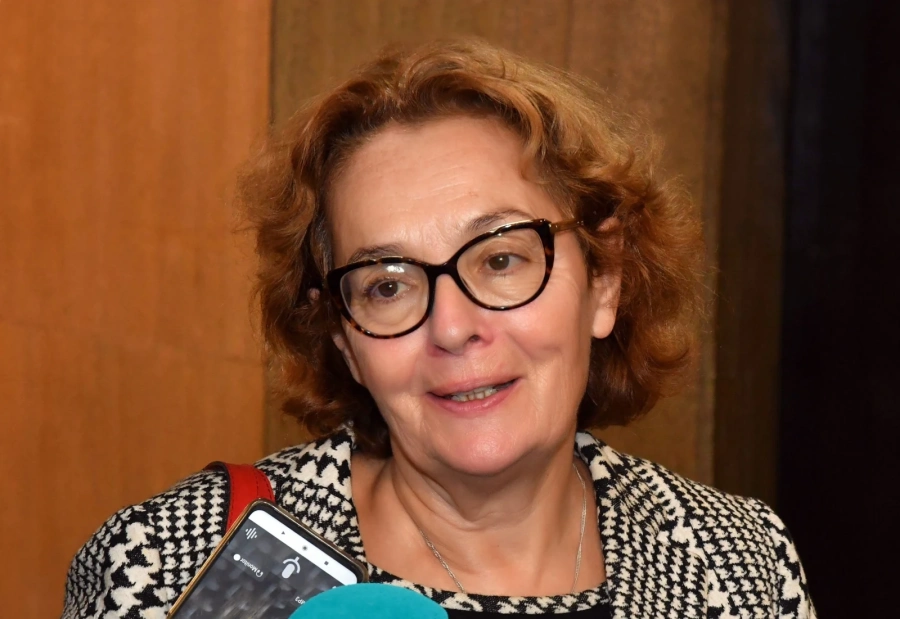 Проф. Коларова: Решението е експертен кабинет