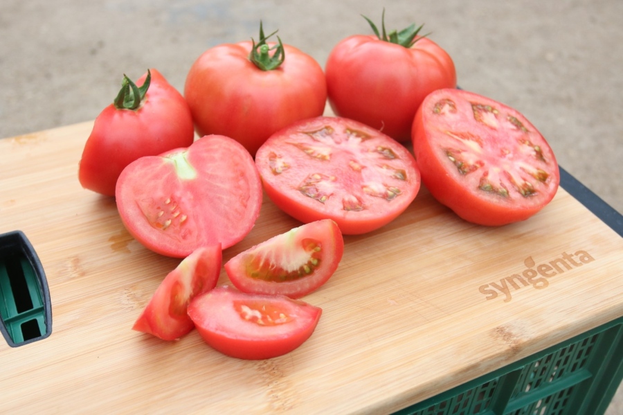 Успешен сорт розов домат се справя с върховото гниене през лятото