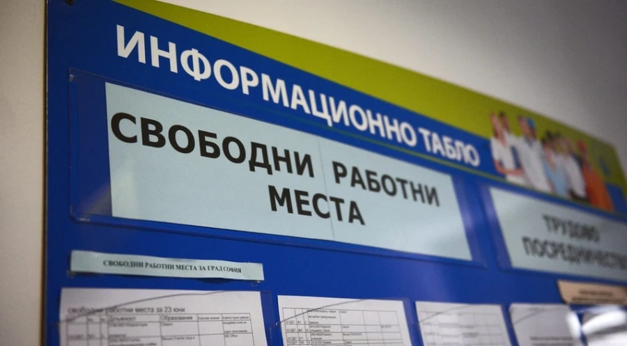 Заради липса на работна ръка: Производството на български плодове и зеленчуци е застрашено