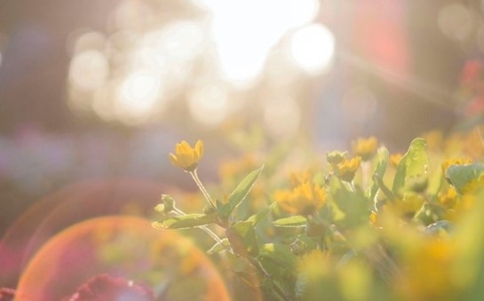 Днес слънчево и топло. Максималните температури ще са между 28° и 33°