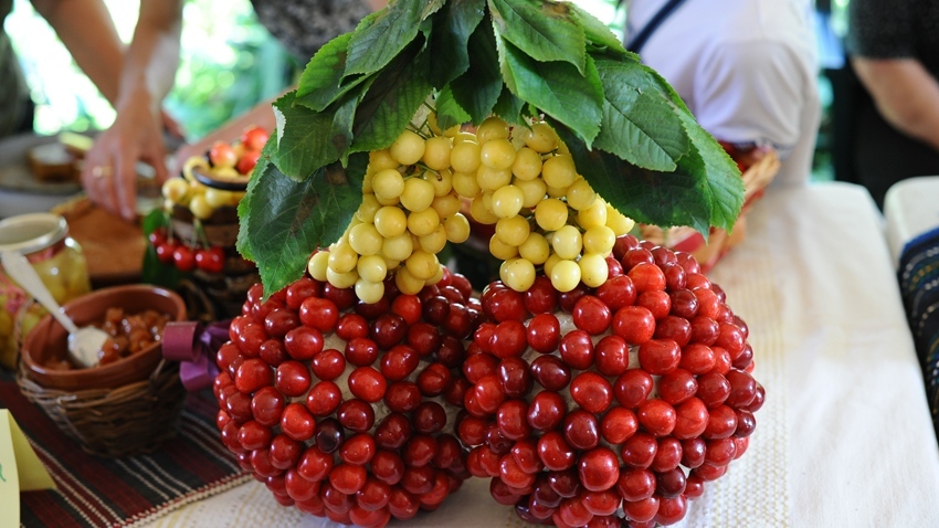 От днес в Кюстендил се отбелязва традиционният Празник на черешата