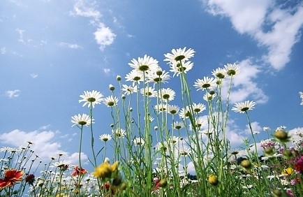 Днес слънчево с максимални температури между 26° и 31°